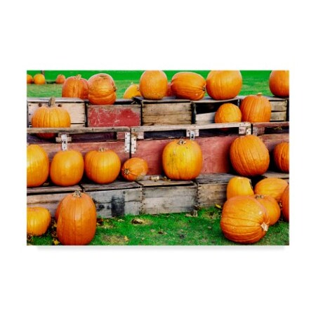 Ata Alishahi 'Pumpkins' Canvas Art,30x47